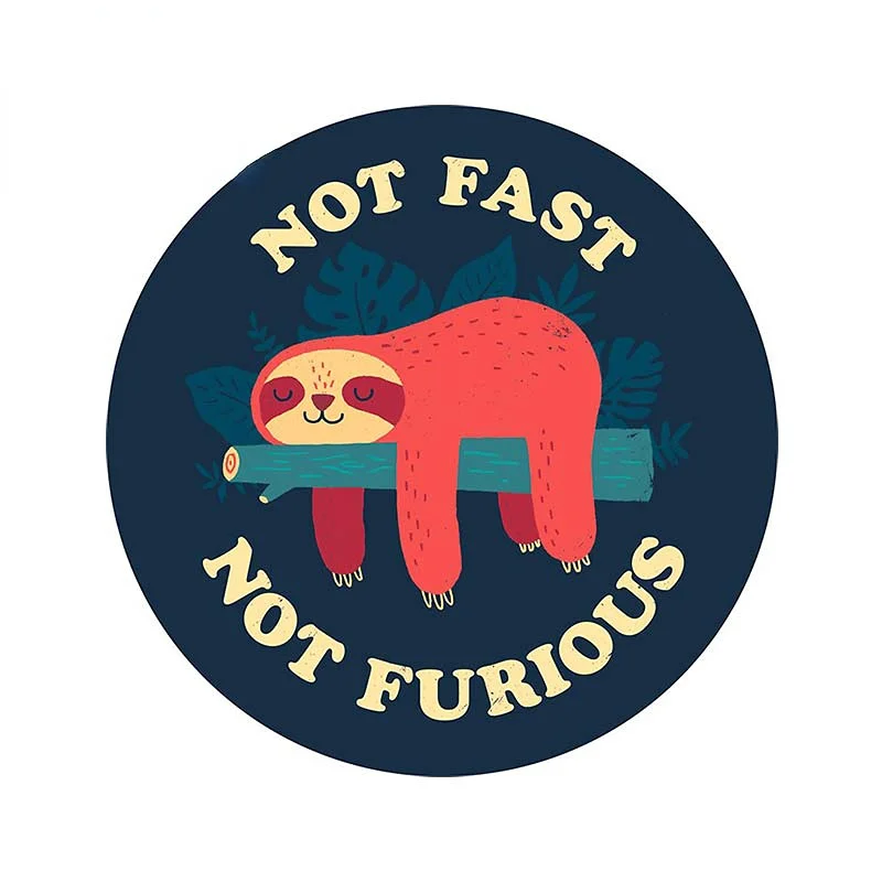 Car Accessories On Amazon - 13cm Not Fast Not Furious 트렁크